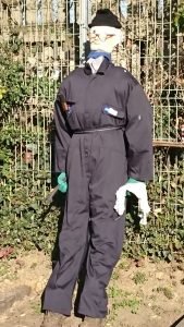 A photograph of our scarecrow, Ernest, leaned up against a fence, wearing glasses and a boiler suit. 